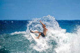 plate-lunch-4-agility